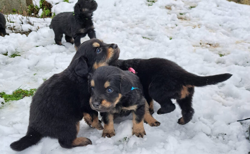 Ab nach draussen… und in den Schnee!